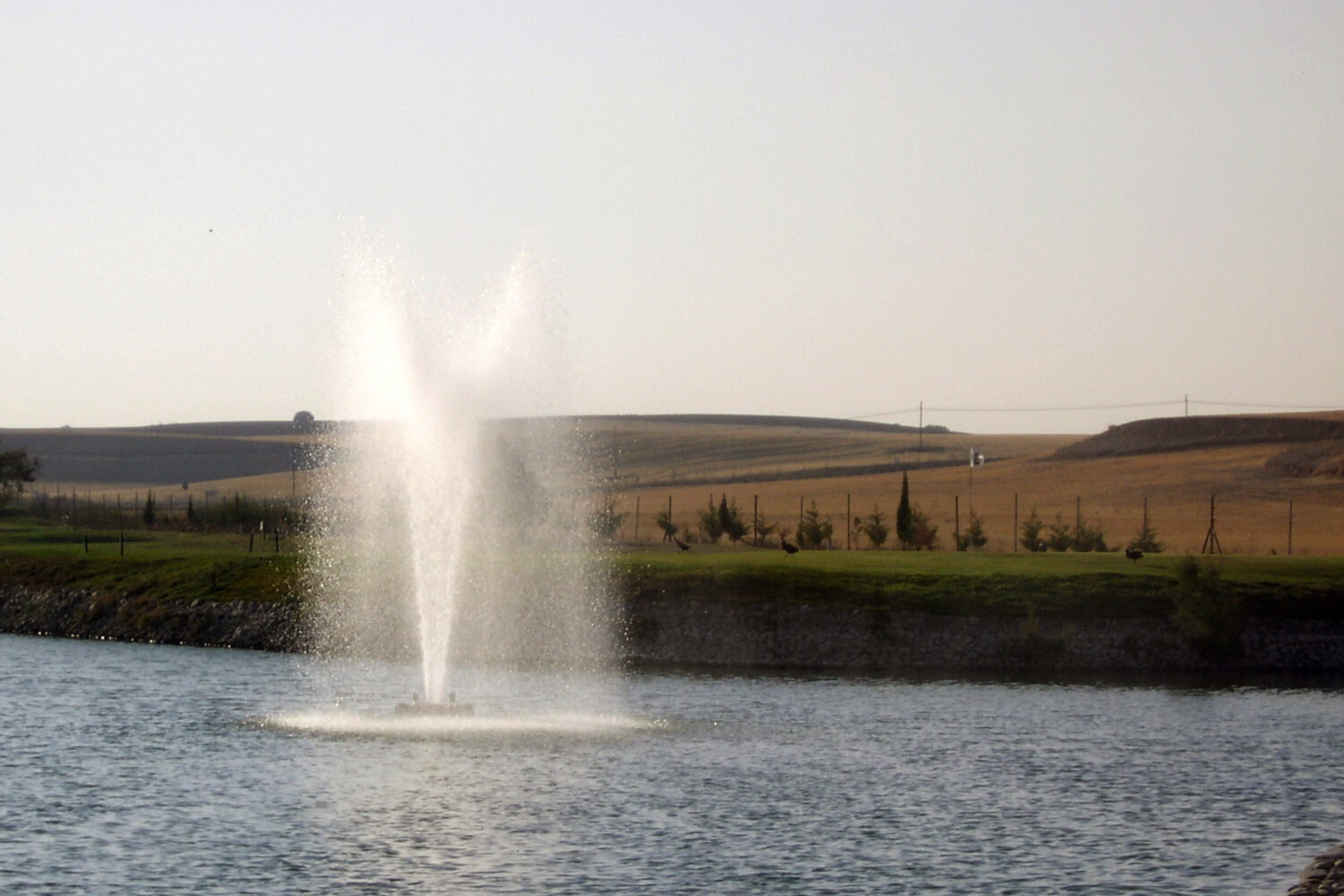 One of Otterbine's Rocket Aerating Geyser Fountains