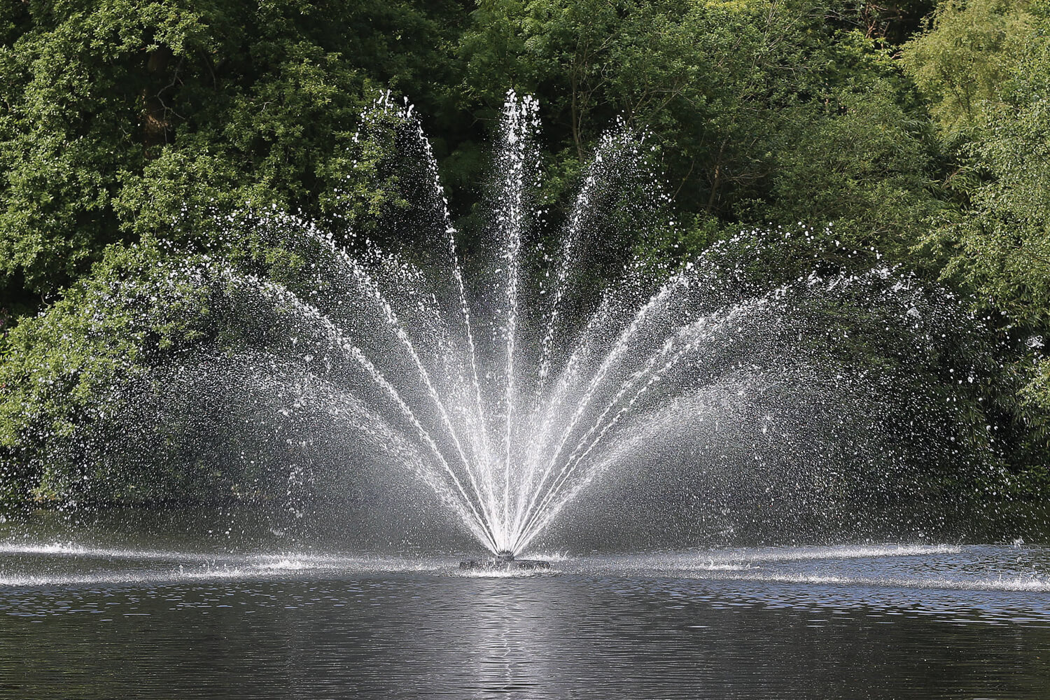 Otterbine's Equinox Aerating Fountain