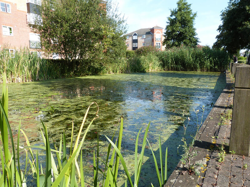 A picture of water before an Otterbine Aerating Fountain installation