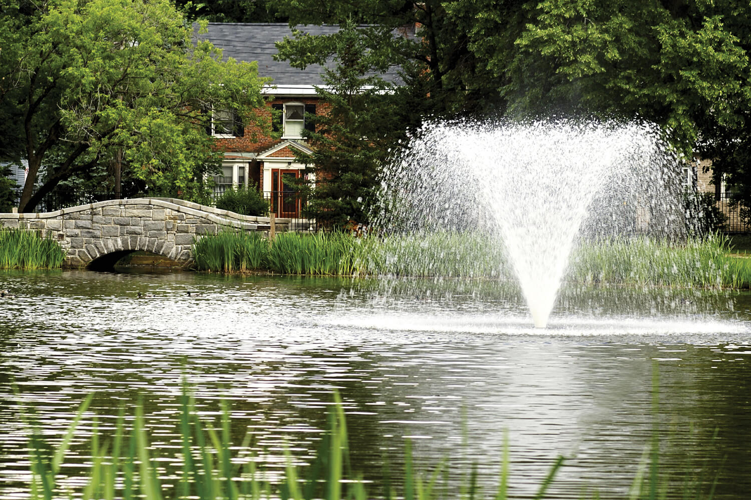 One of Otterbine's Gemini Aerating Fountains in a residential area