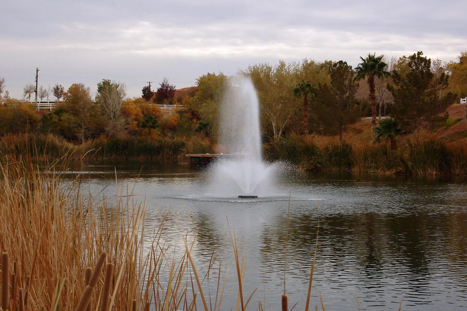 Otterbine's Phoenix Aerating Fountain