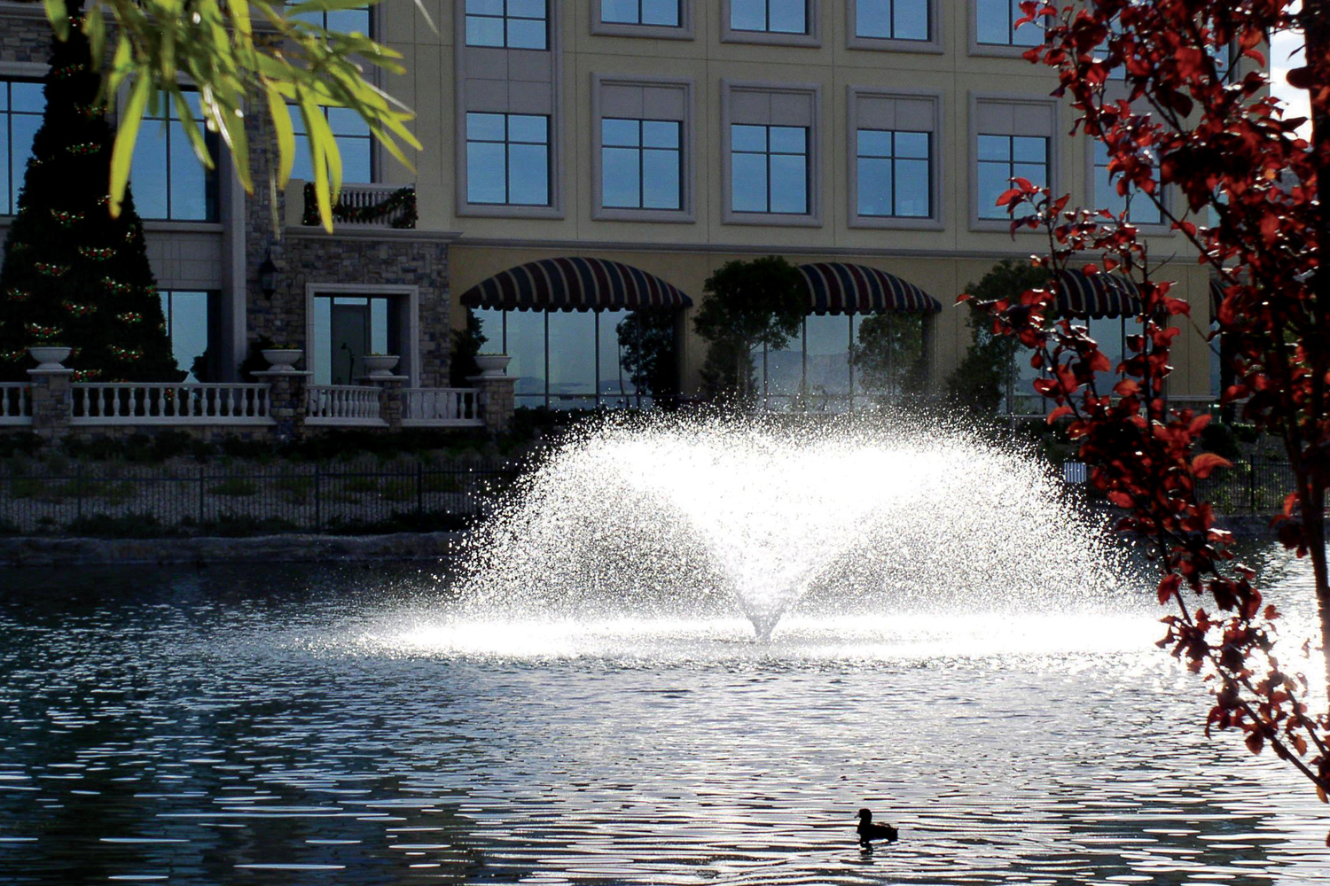Otterbine's Sunburst Aerating Fountain
