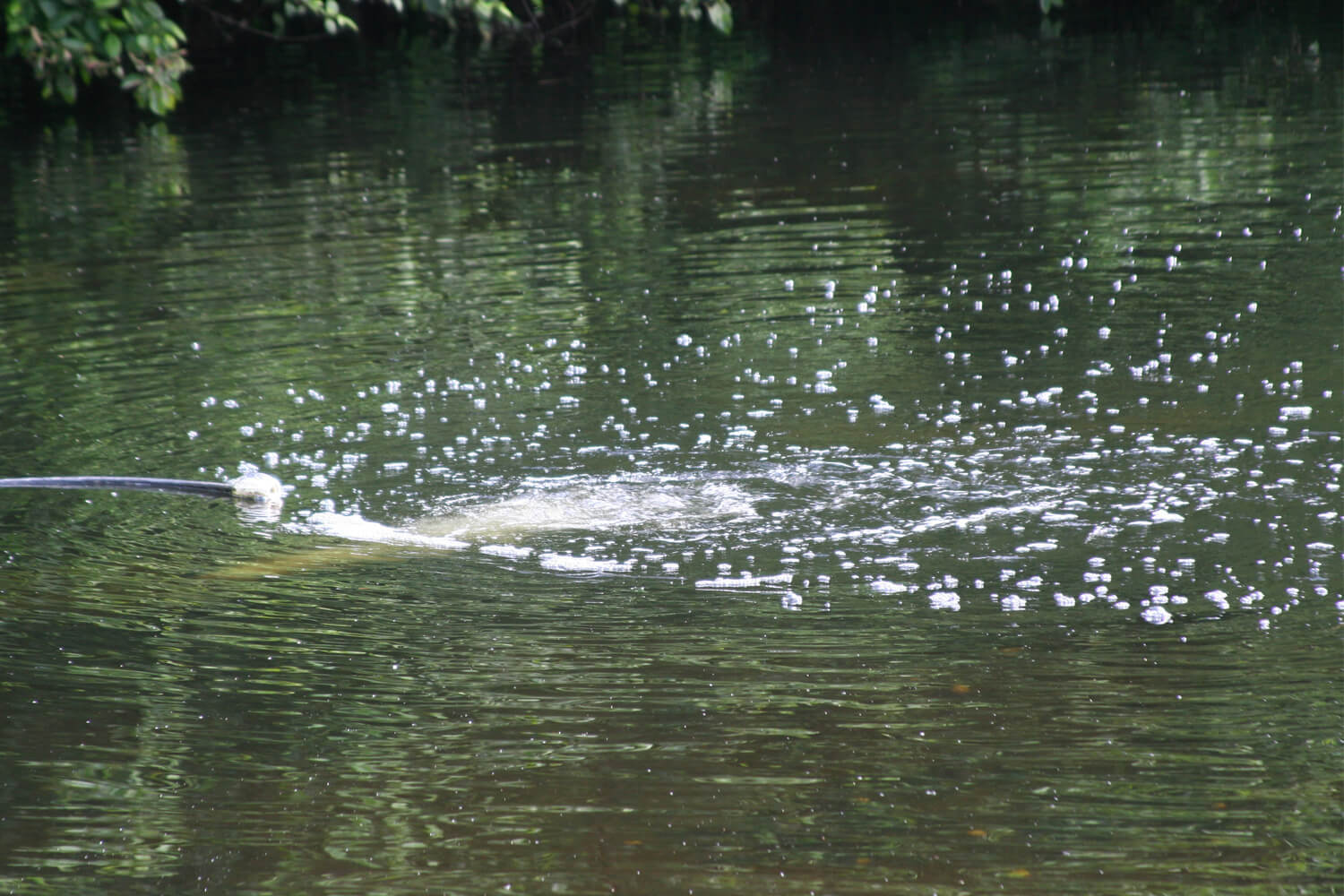 One of Otterbine's Industrial Pond Aerators and Circulators