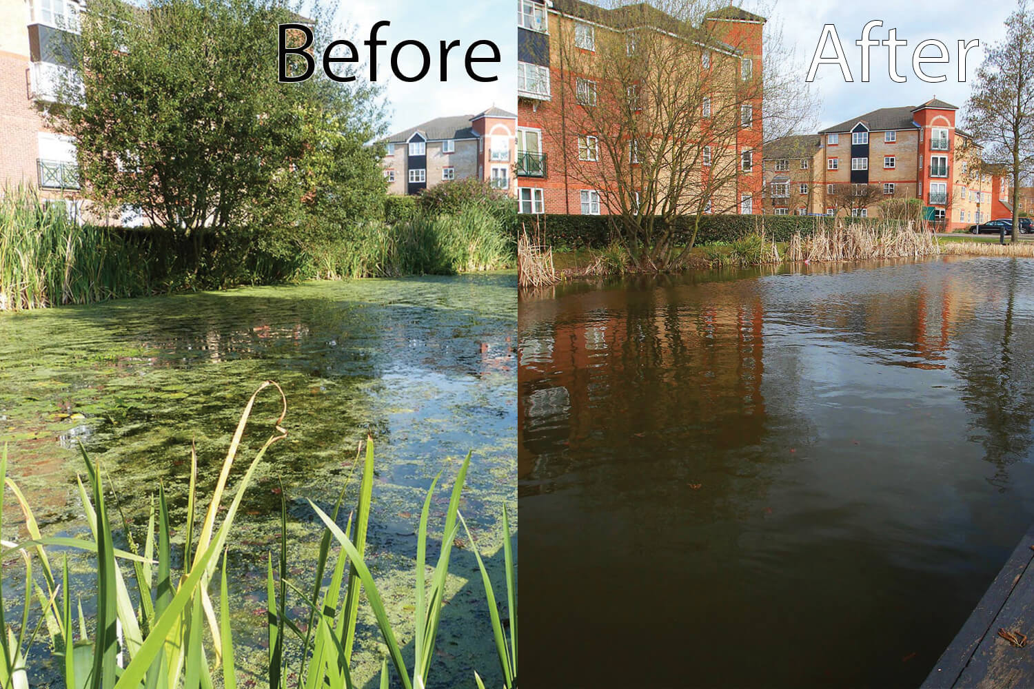 A shot of water before and after an aerator's installation