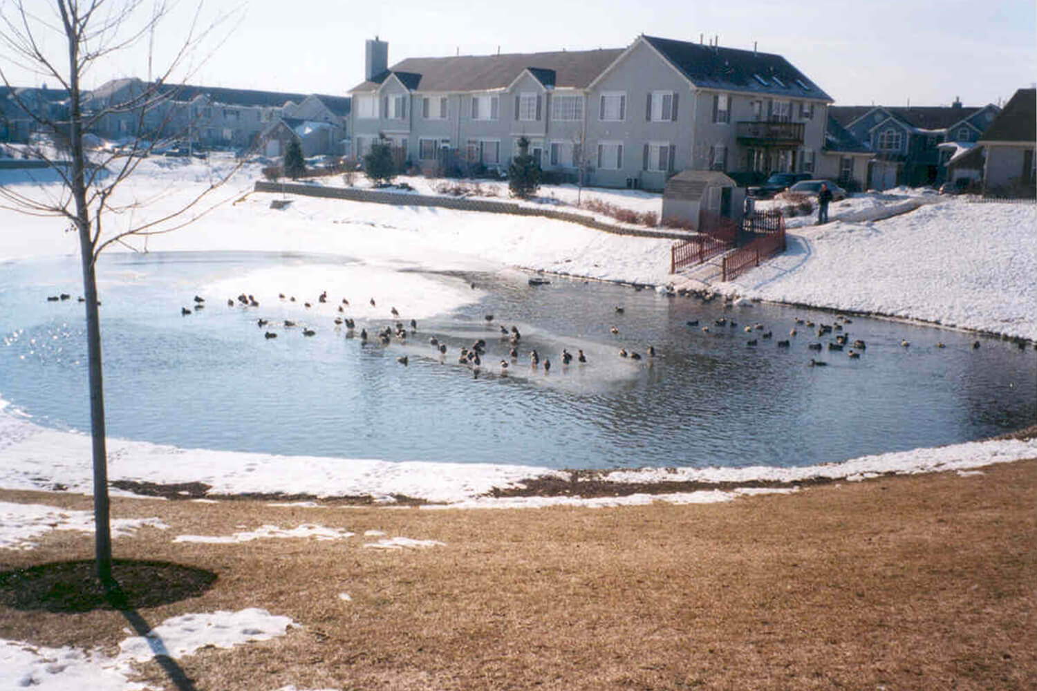 One of Otterbine's Industrial Pond Aerators and Circulators in winter