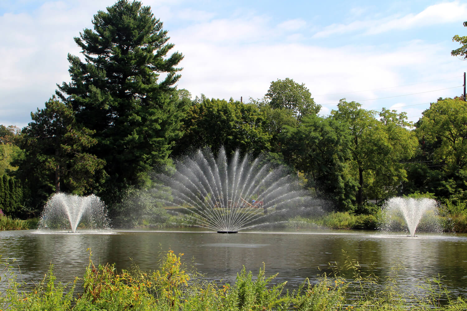 Otterbine's Aries Aerating Fountain