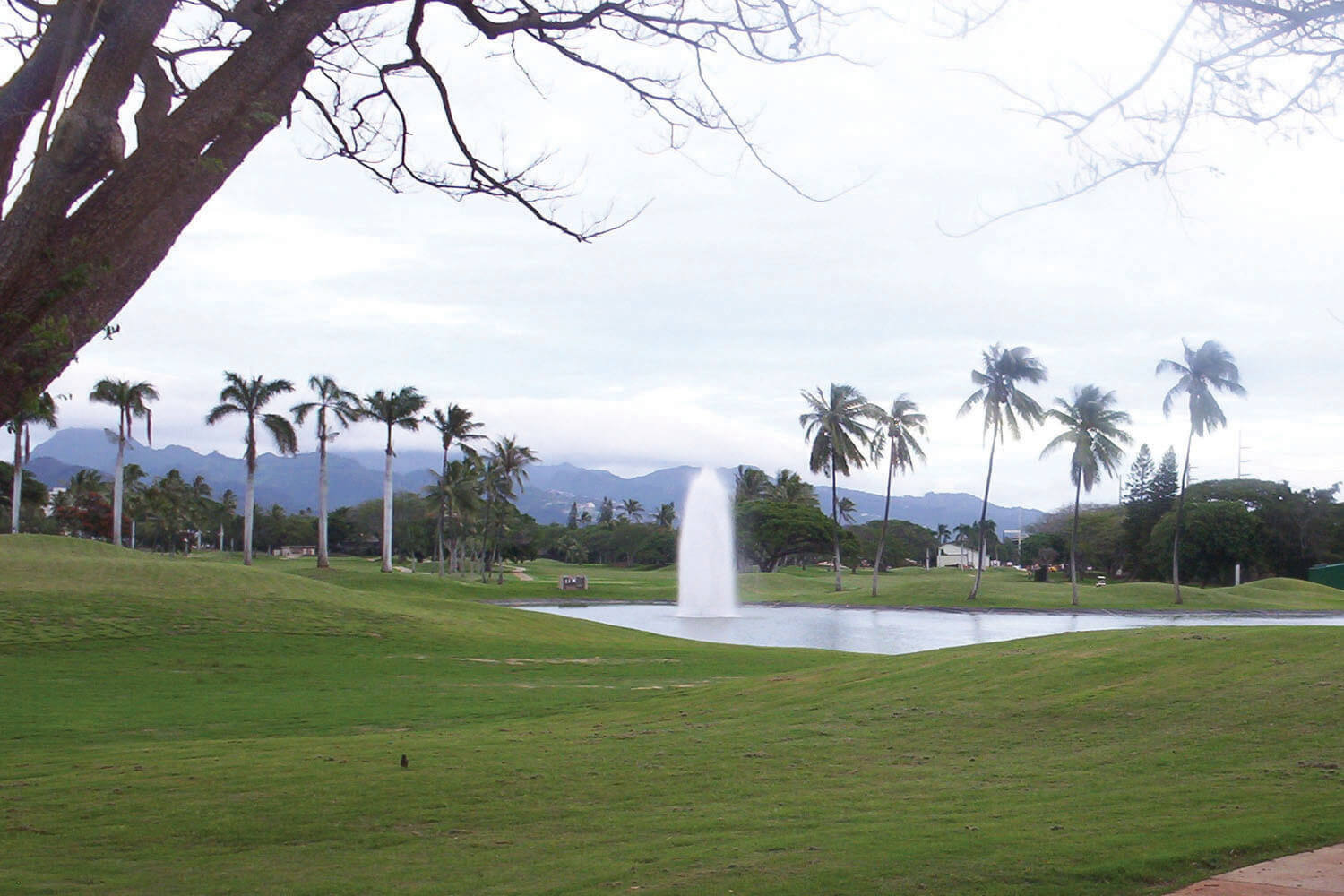 One of Otterbine's Polaris Aerating Fountains