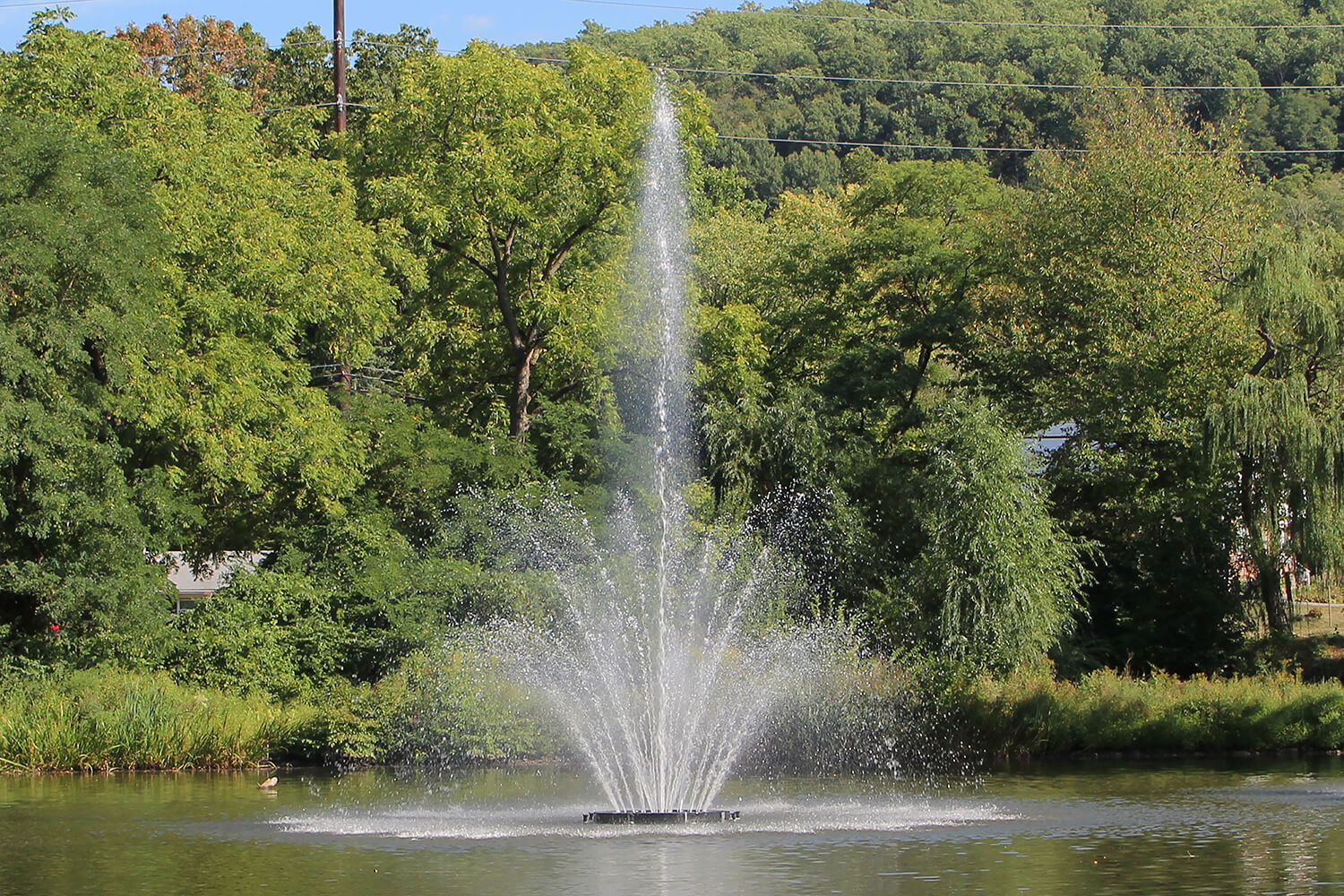 One of Otterbine's Triad Giant Aerating Fountains