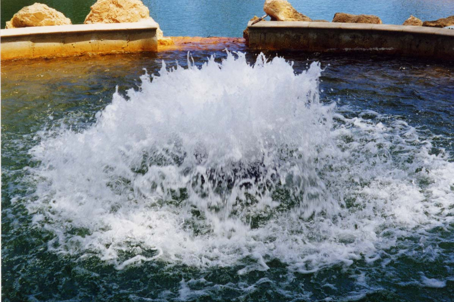 One of Otterbine's Industrial Aerating Fountains
