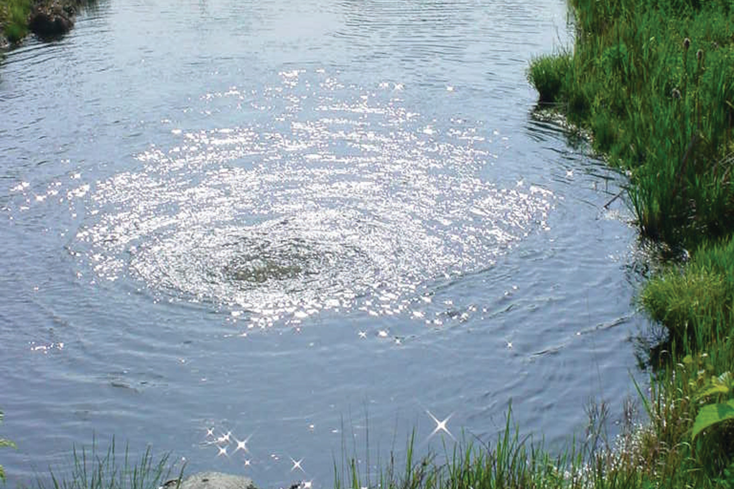 An Otterbine Triton Aerating Fountain