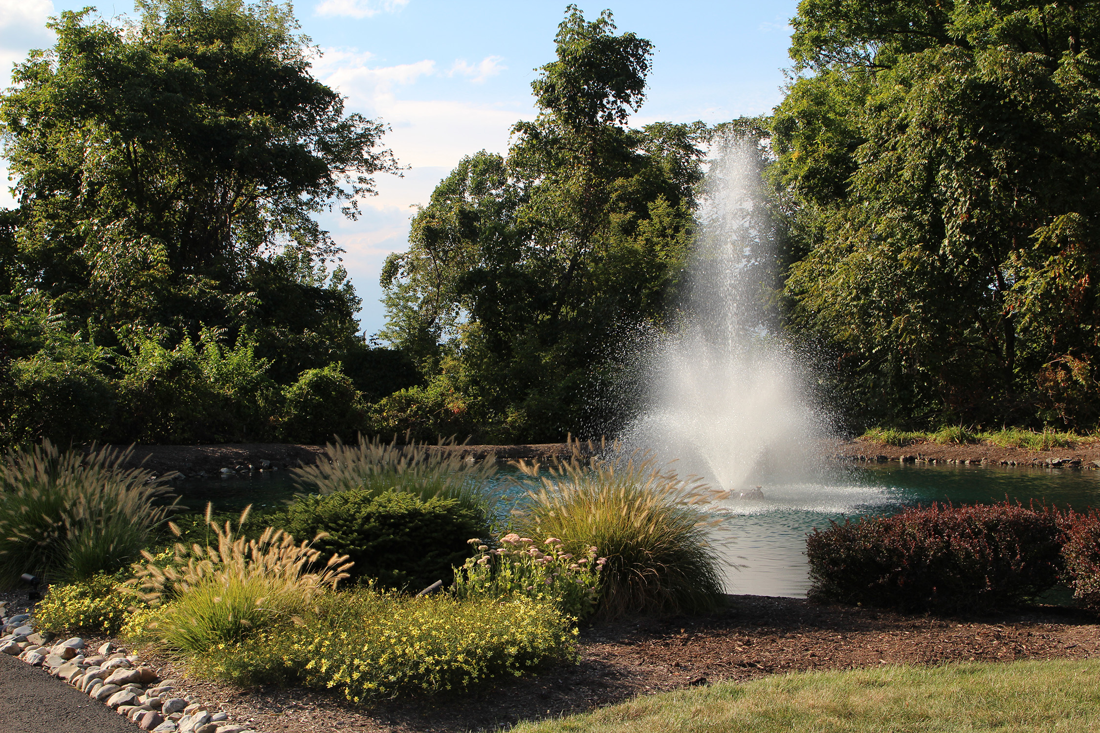 One of Otterbine's Aerating Fountains in a beautiful park